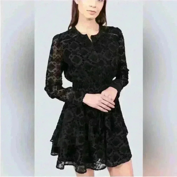 ALLISON NEW YORK- Burnout Velvet Ruffle Dress In Black Size XS EUC! - Picture 2 of 10